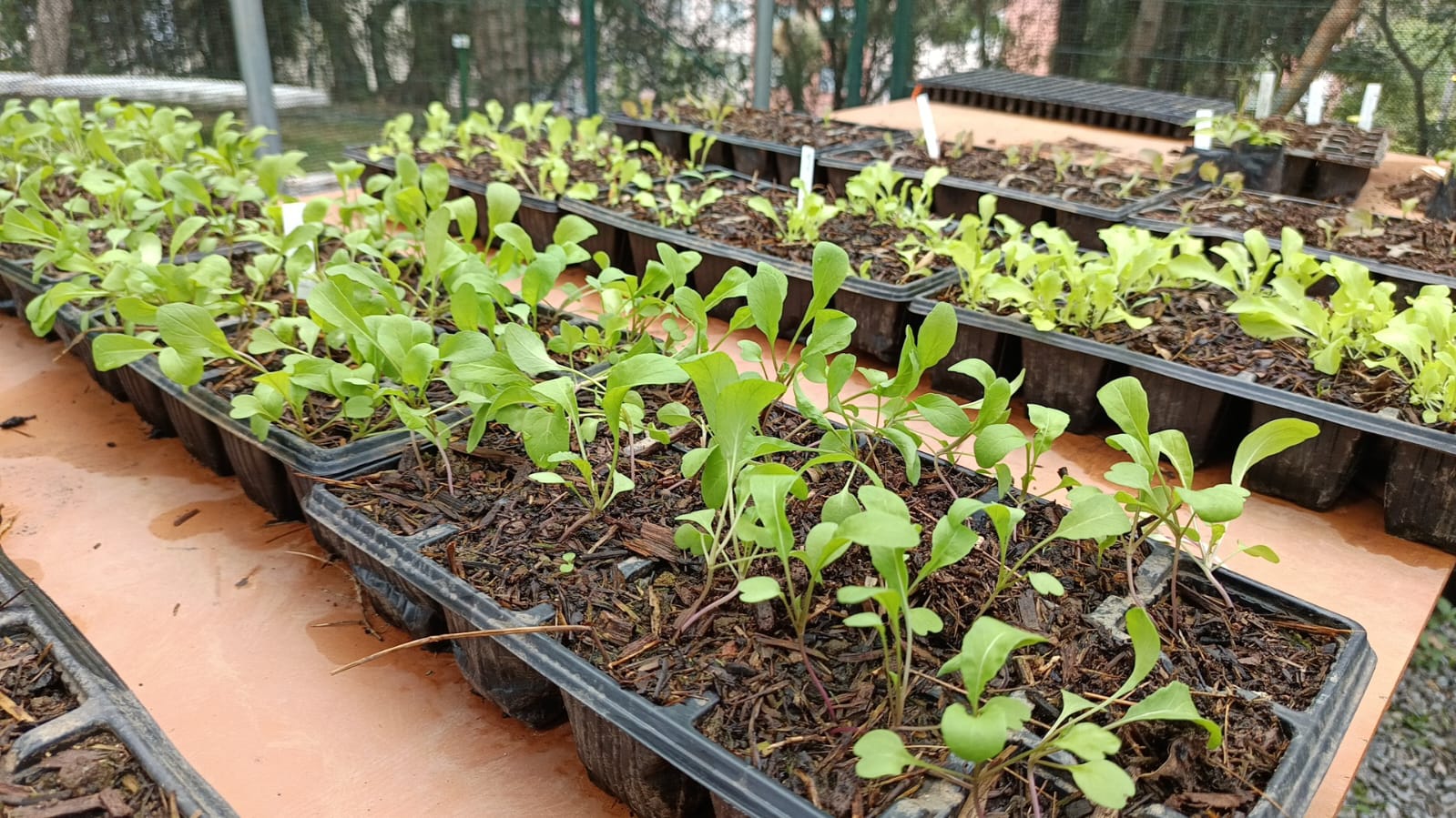 WhatsApp Image 2025-11-18 at 15.12.45 (1).jpeg